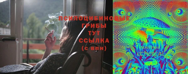 эйфоретик Инсар