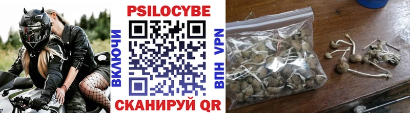 Купить где  Калач  Псилоцибиновые грибы мицелий 