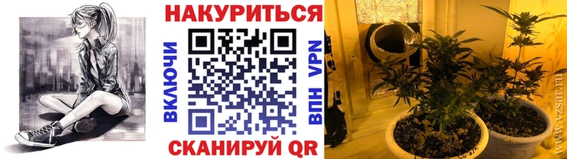 Конопля Ganja  Купить где  Калач 